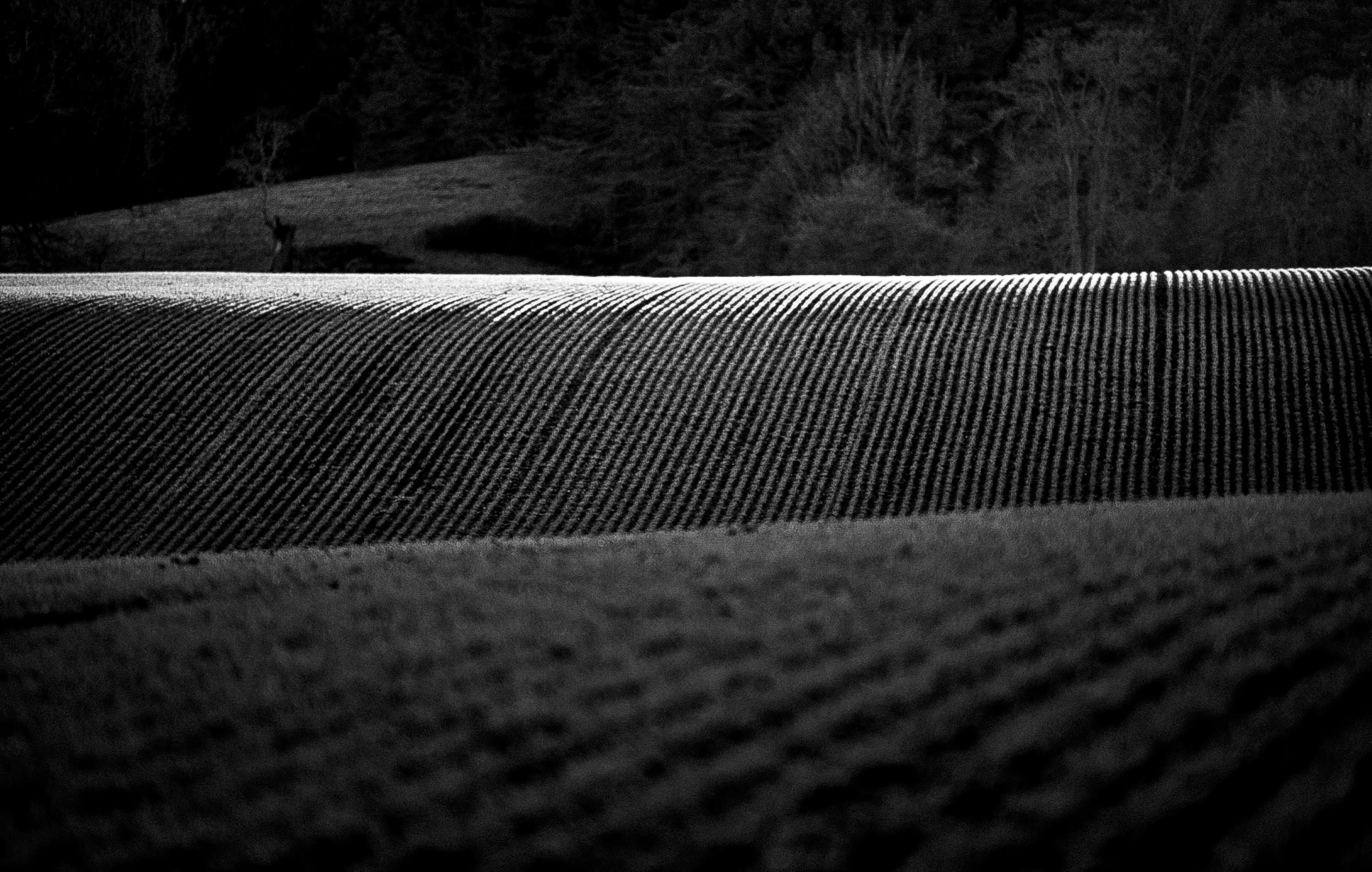 DSC_1376.jpeg