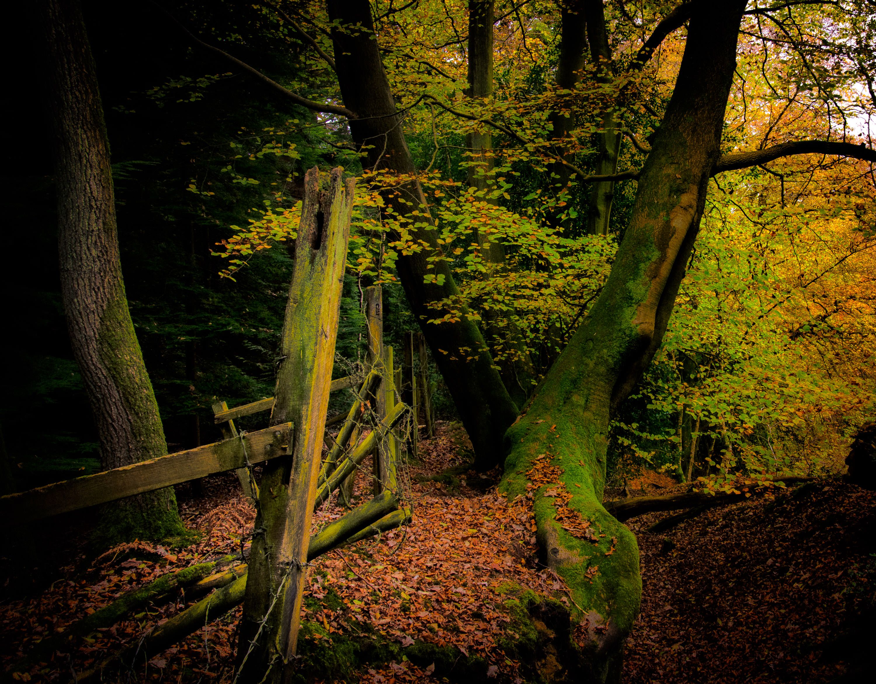 DSC_2857.jpg