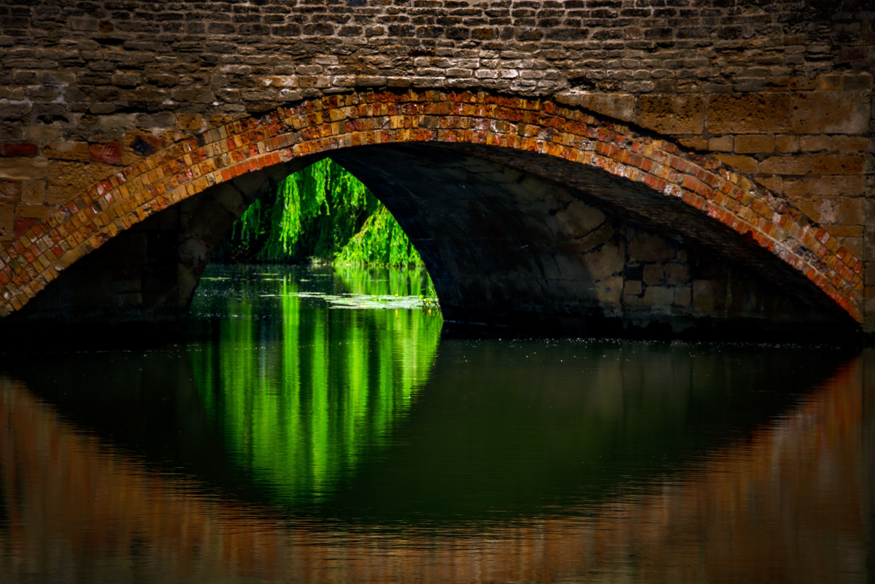 DSC_3369-Edit.jpg
