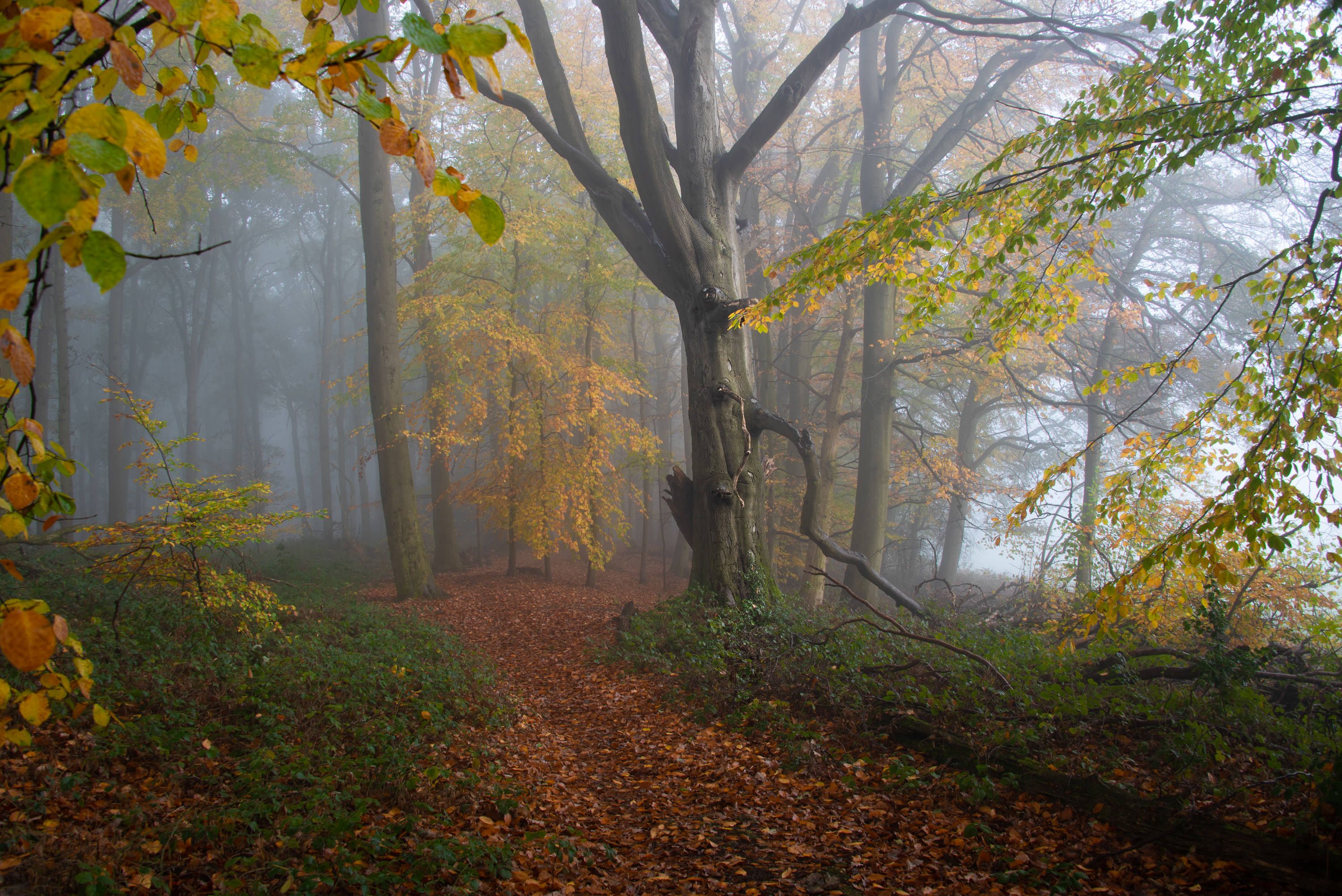 DSC_3579.jpg