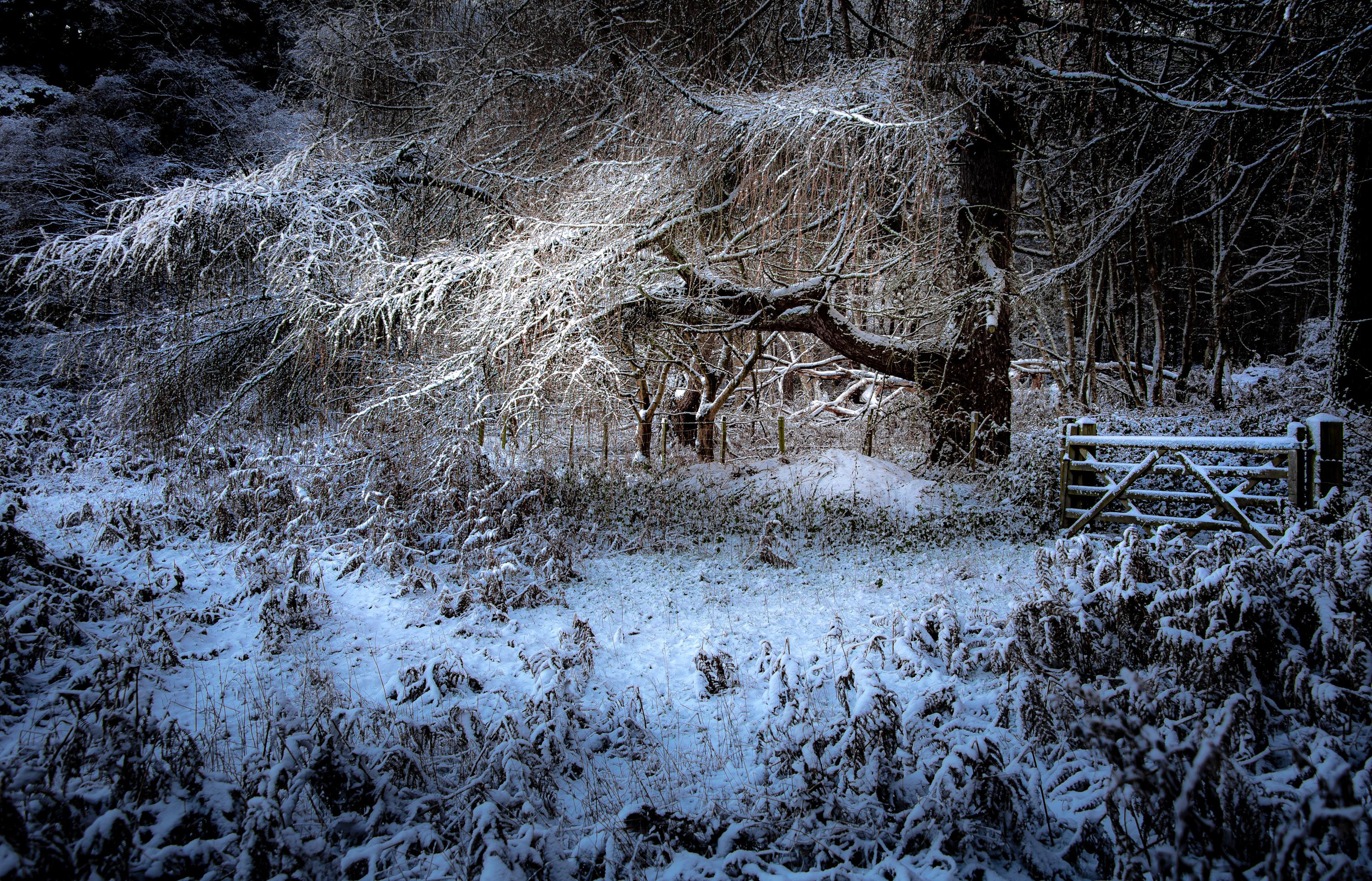 DSC_3835.jpg