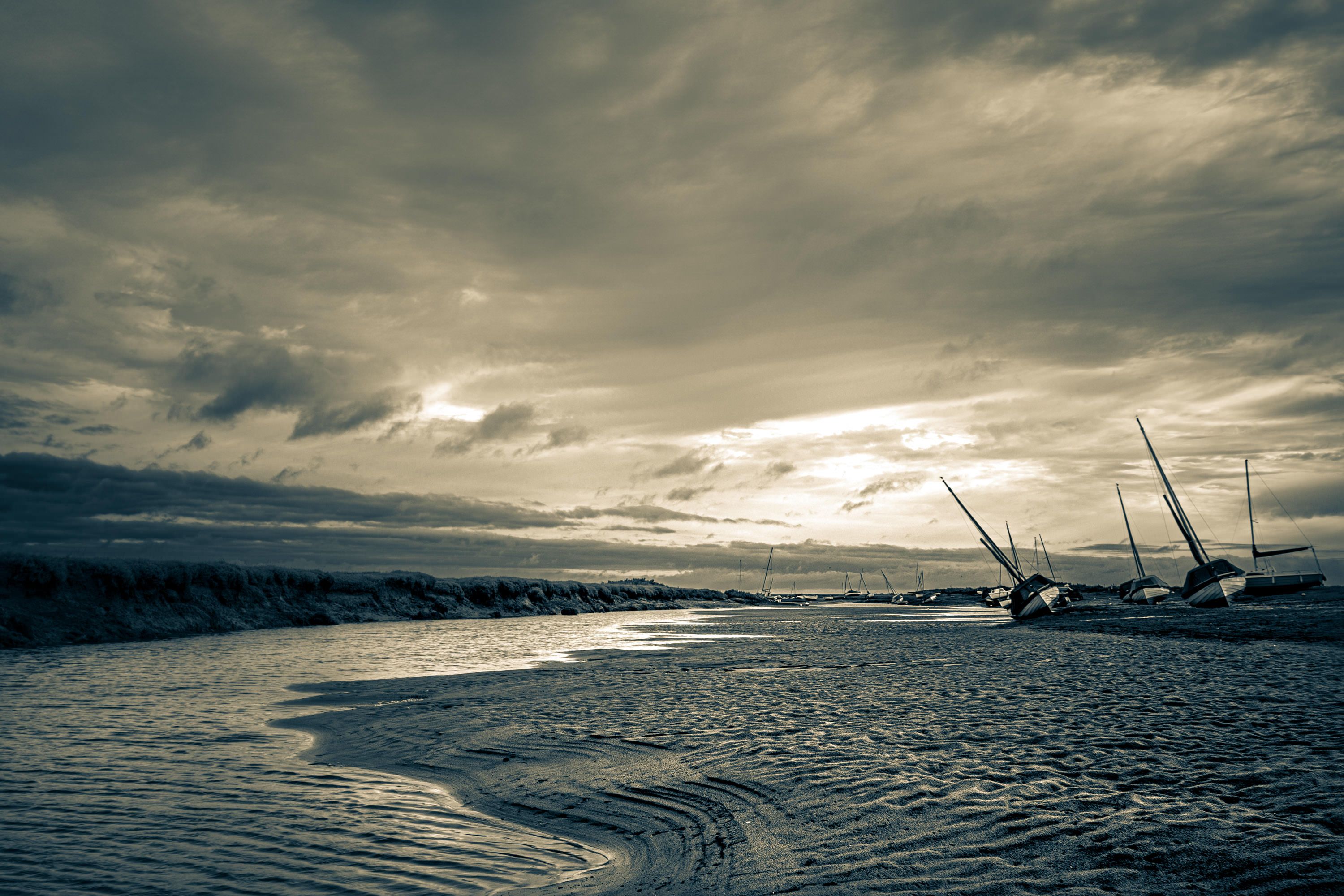 DSC_4247.jpg