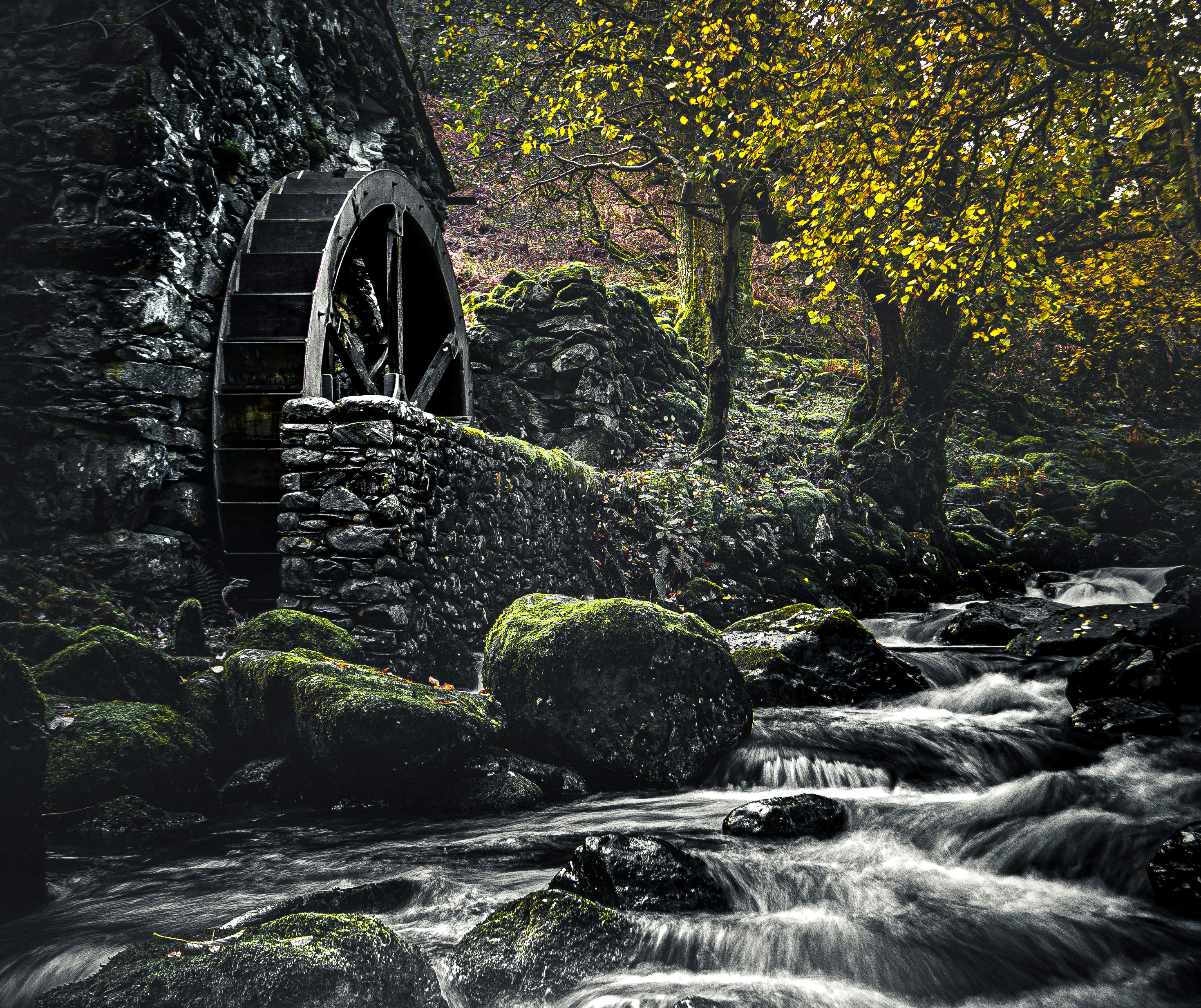 DSC_4766-1.jpg