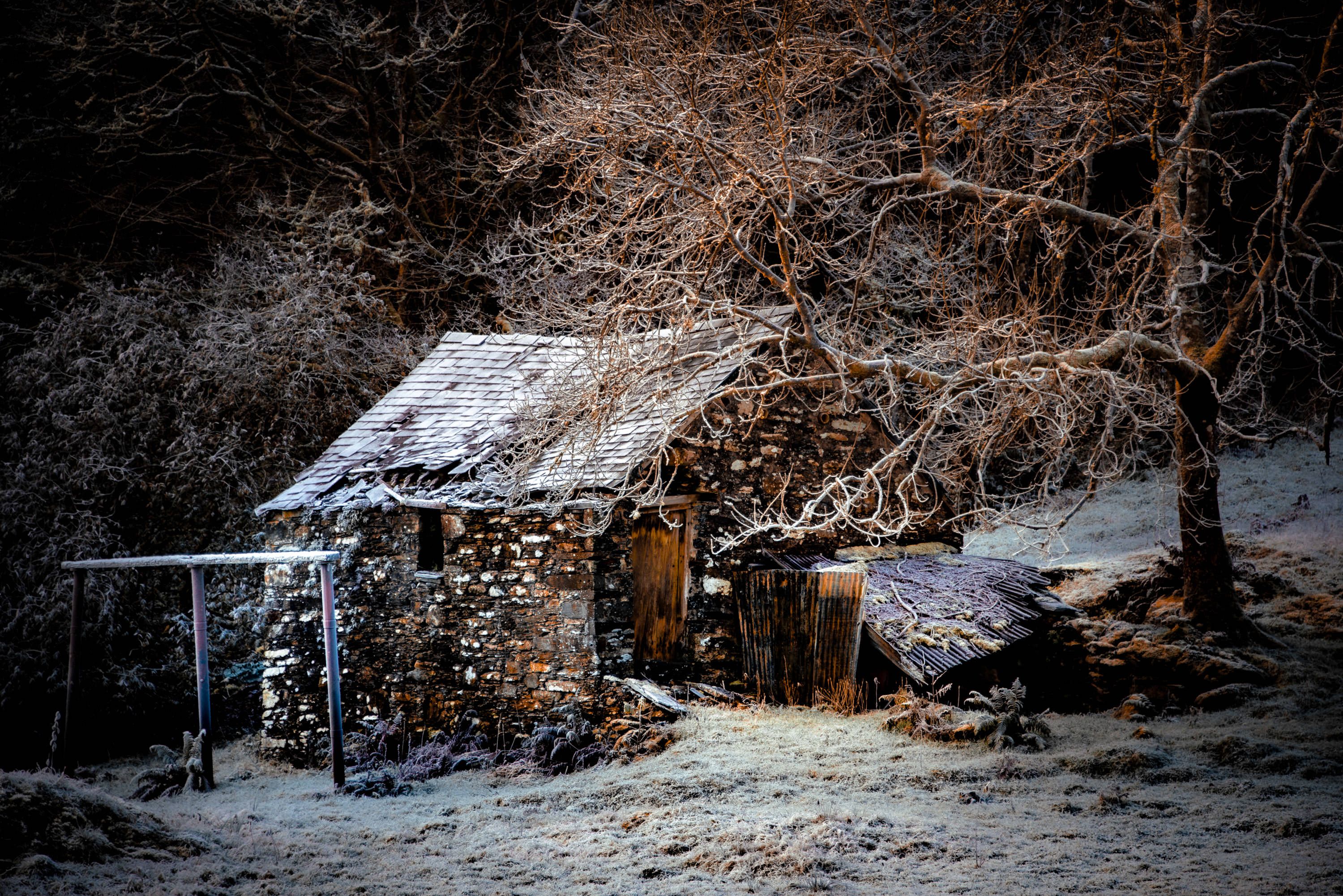 DSC_4901.jpg