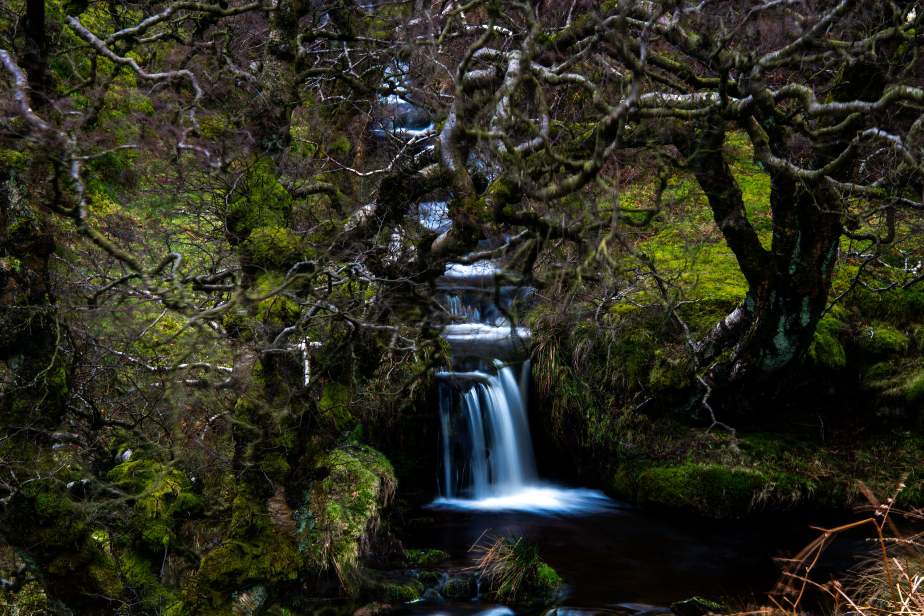 DSC_5153-1.jpg