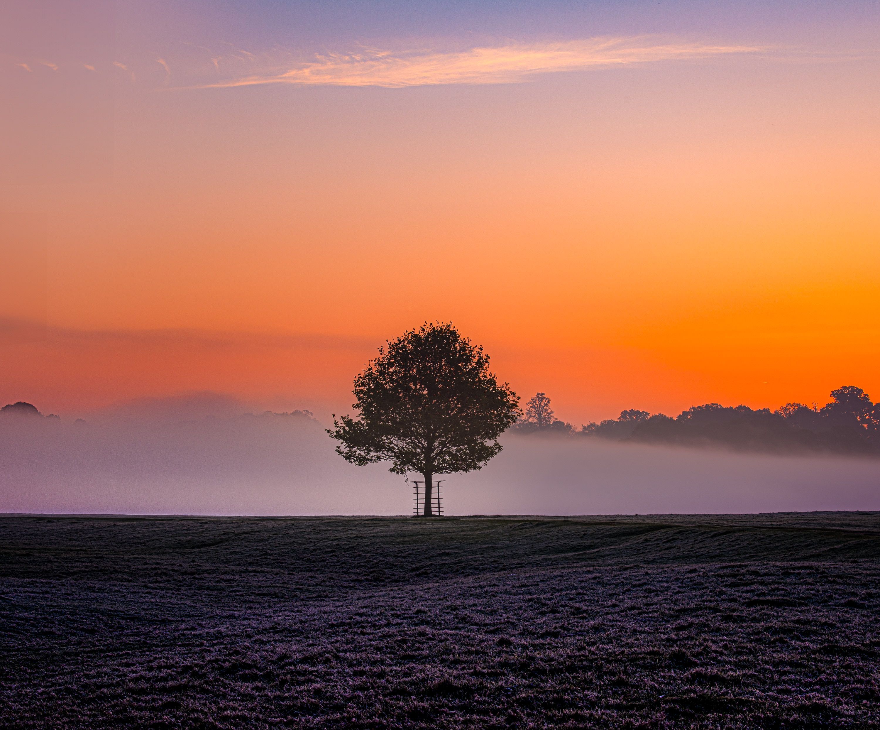 _DSC2223-Edit.jpg