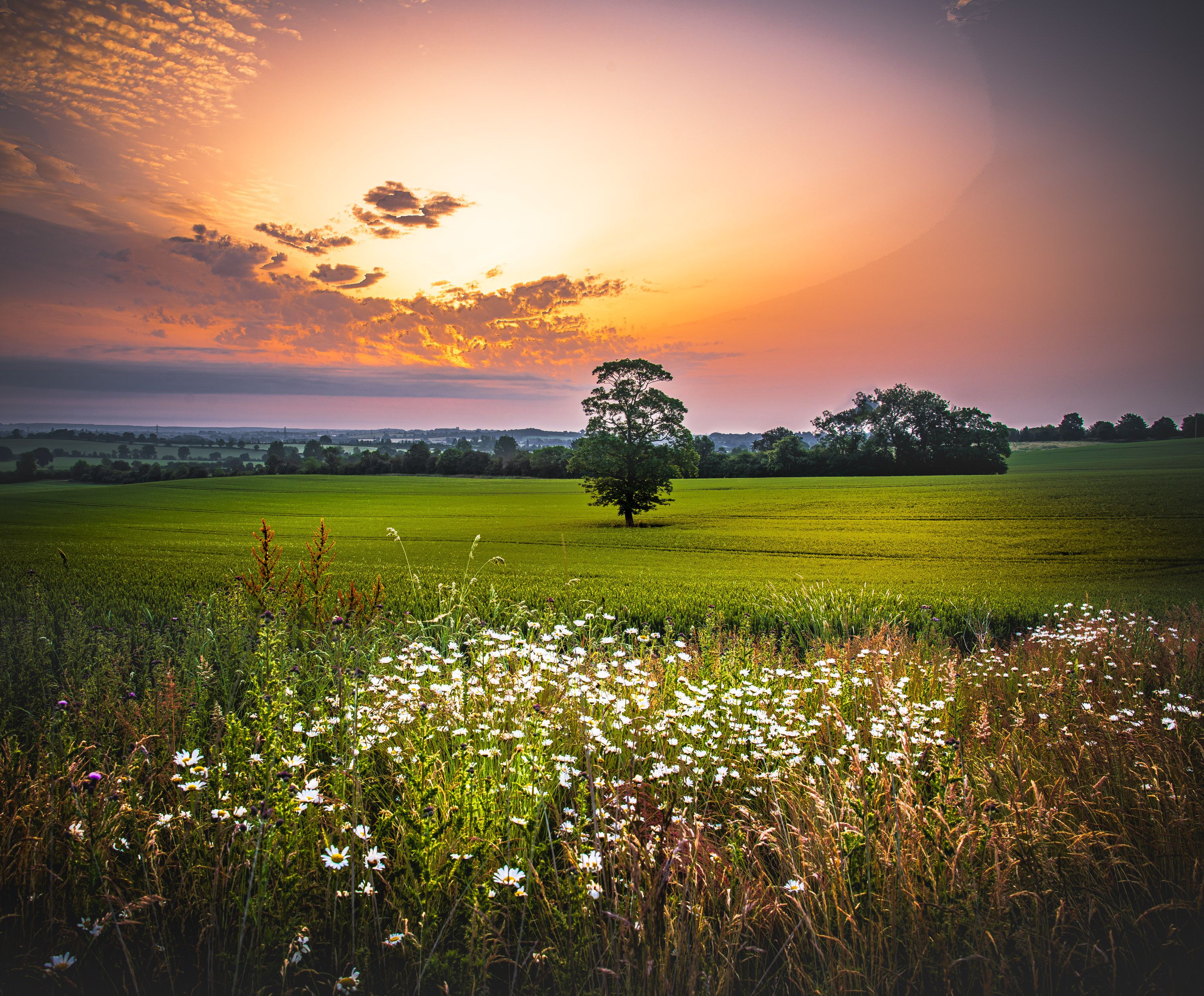 _DSC2472-HDR.jpg