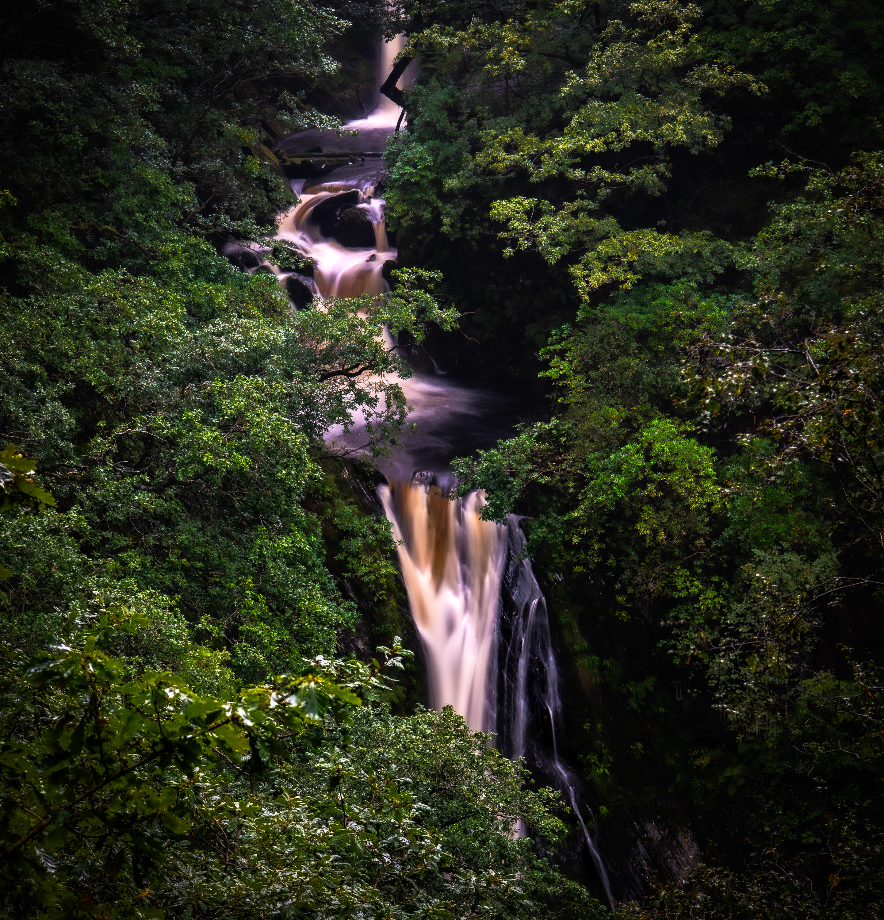 _DSC2936.jpg