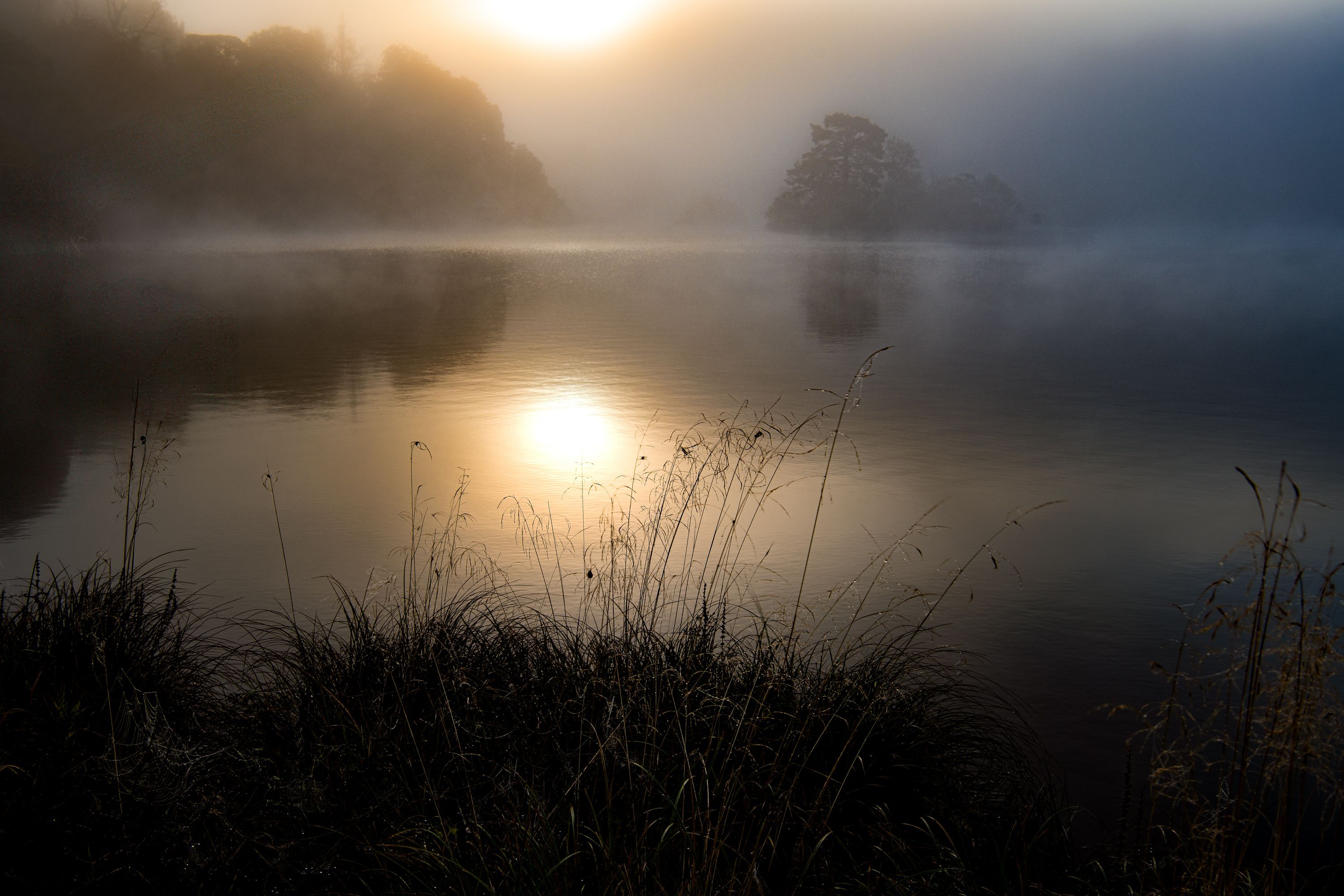 _DSC3243-Edit-1.jpg
