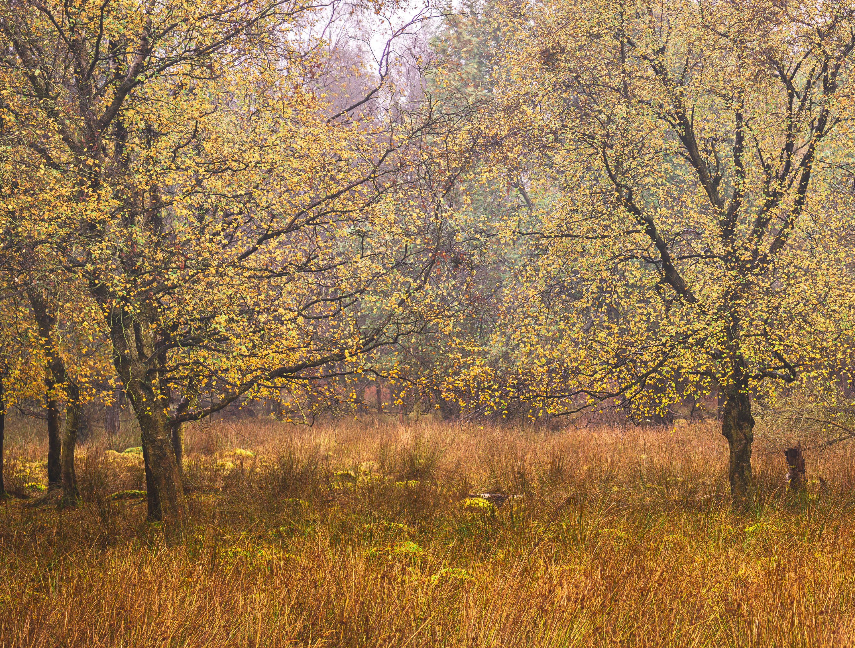 _DSC3504.jpg