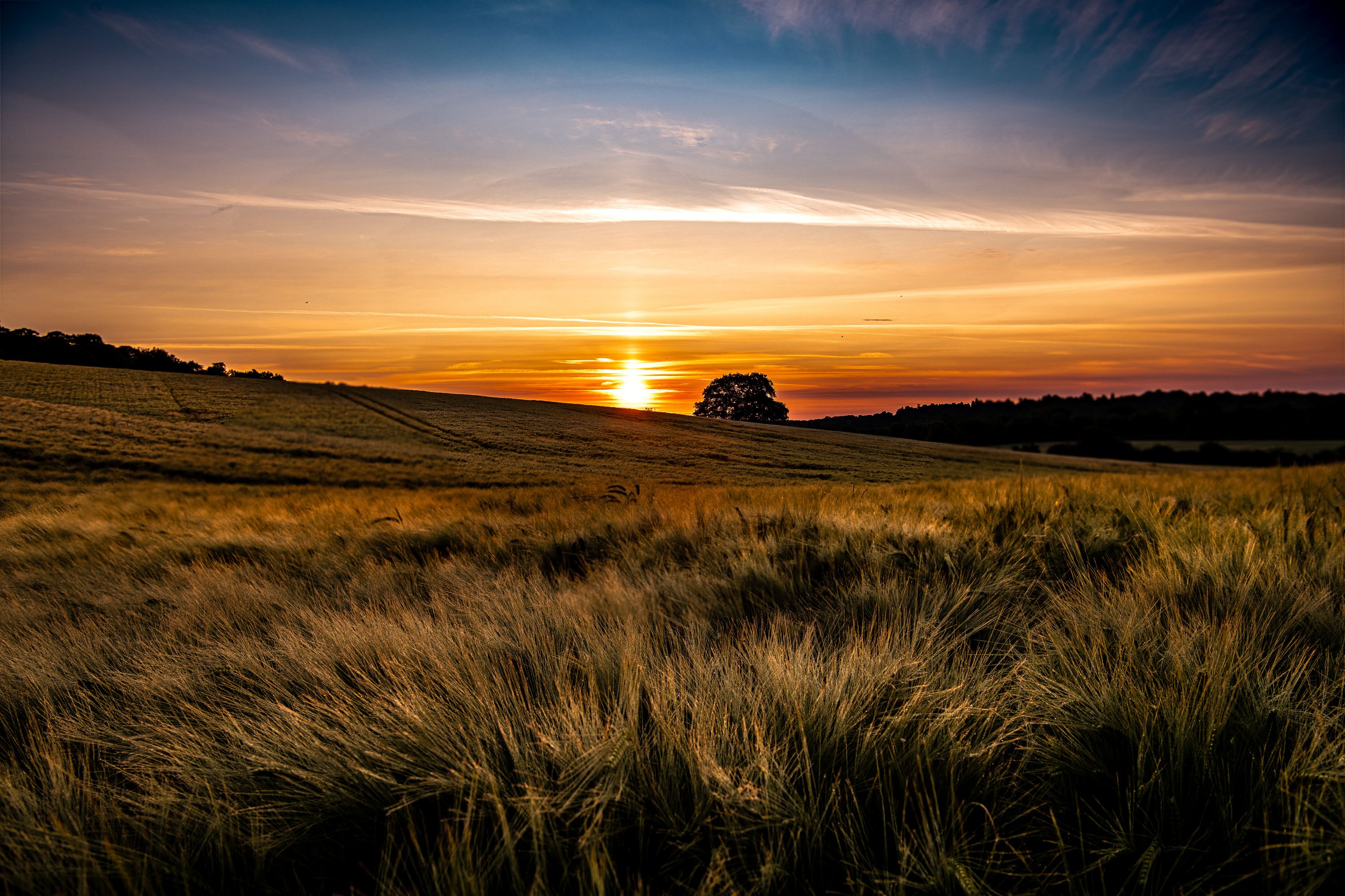 _DSC4643-HDR-1.jpg