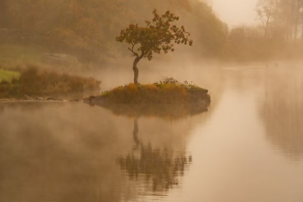 DSC_5565.jpg