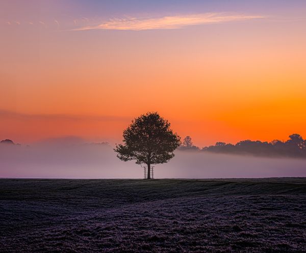 _DSC2223-Edit.jpg