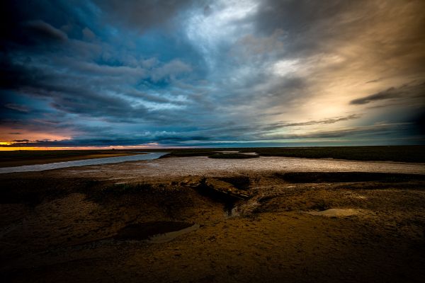 _DSC4675