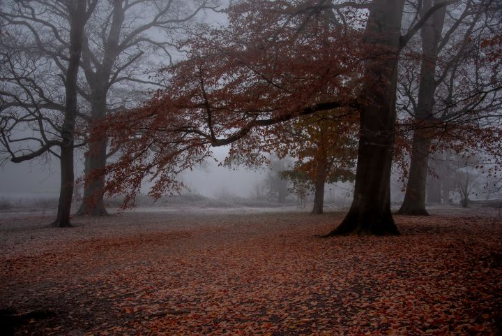 DSC_3757.jpg DSC_3757.jpg