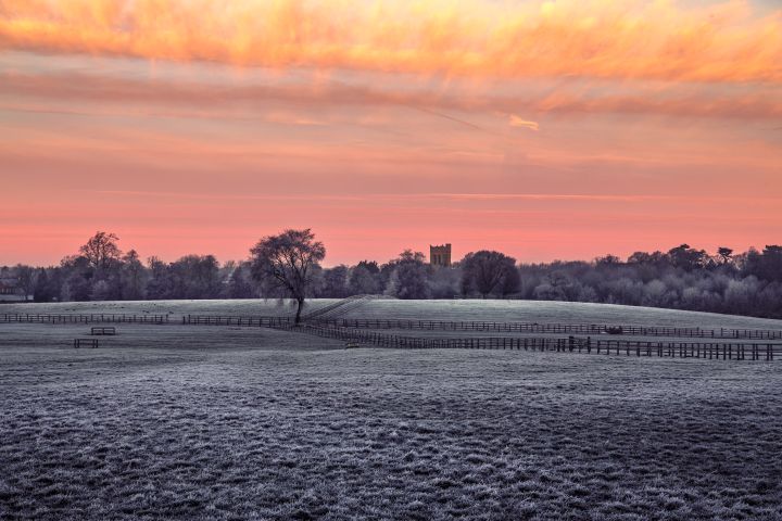 _DSC3726.jpg _DSC3726.jpg