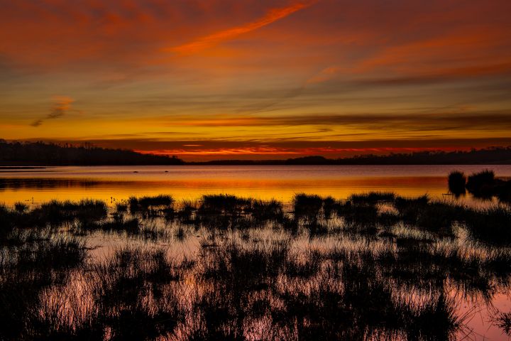 _DSC3767-1.jpg _DSC3767-1.jpg