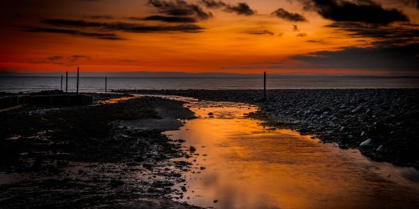 Dave Turney Photography