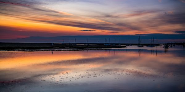 Dave Turney Photography